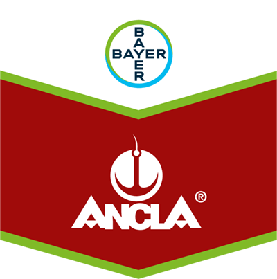 Ancla® FS 246