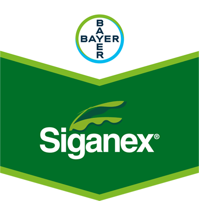 Siganex®