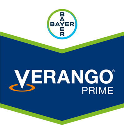 Verango® Prime SC 500