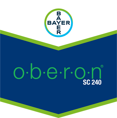 Oberon®