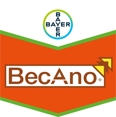 Becano® SC 500