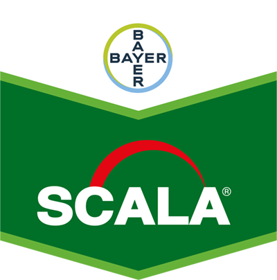 Scala® SC 40