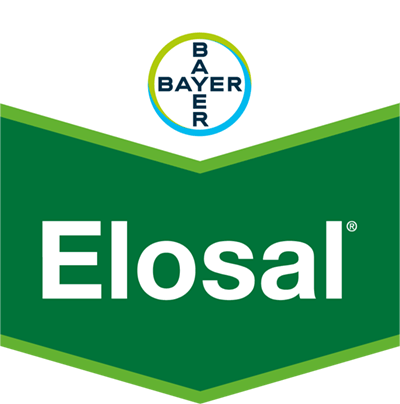 Elosal® SC 720