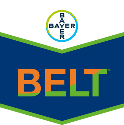 Belt® SC 480
