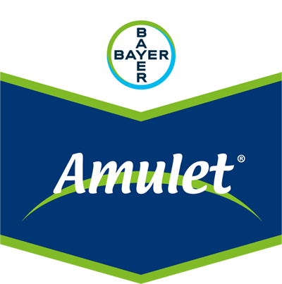 Amulet® SC 200