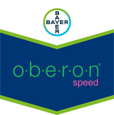 Oberon® Speed SC 240
