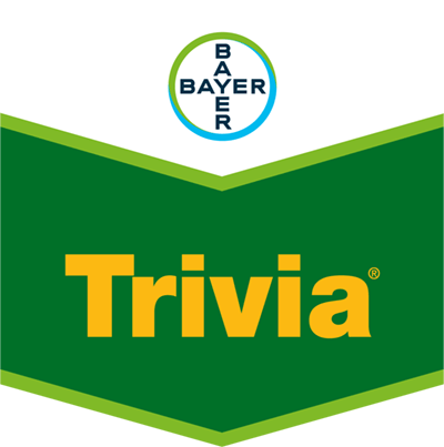Trivia®