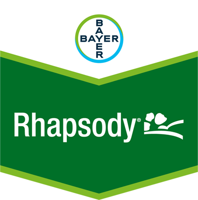 Rhapsody® SC 1,34