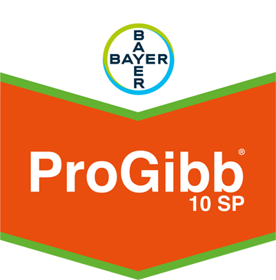 ProGibb® SP 10